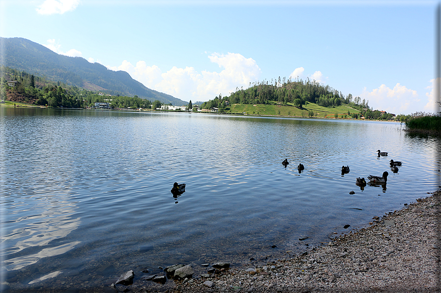 foto Lago della Serraia